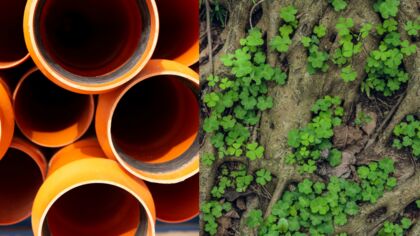 Rohr- & Kanaltechnik Höfer