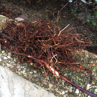 Rohr- & Kanaltechnik Höfer