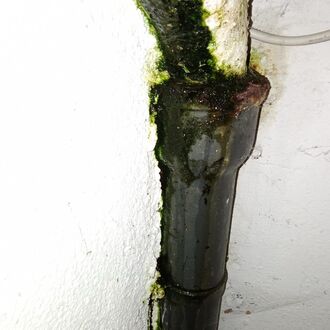 Rohr- & Kanaltechnik Höfer